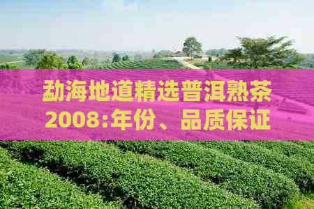 勐海地道精选普洱熟茶2008:年份、品质保证、口感浓