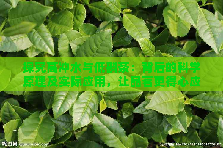 探究高冲水与低斟茶：背后的科学原理及实际应用，让品茗更得心应手