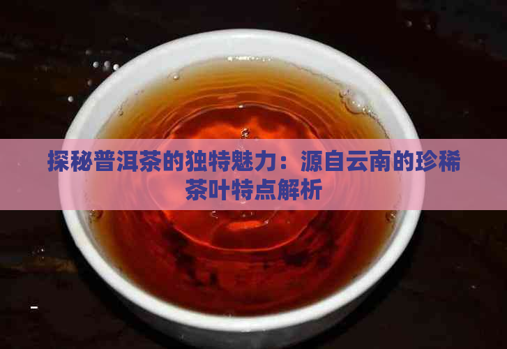 探秘普洱茶的独特魅力：源自云南的珍稀茶叶特点解析