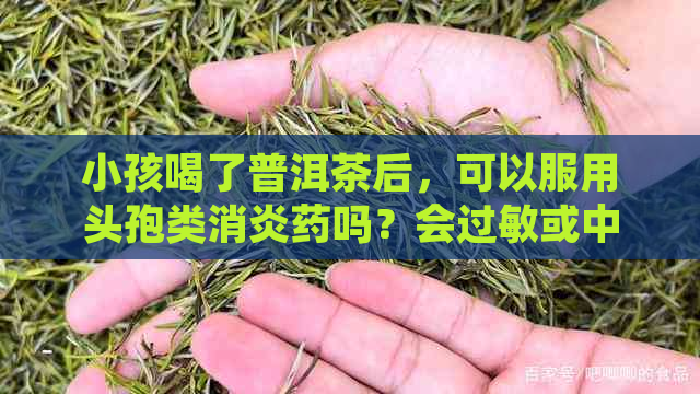 小孩喝了普洱茶后，可以服用头孢类消炎药吗？会过敏或中吗？