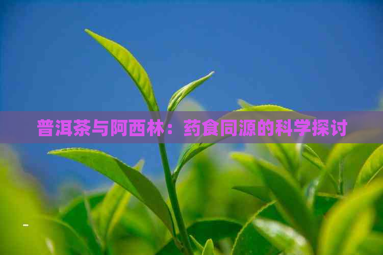 普洱茶与阿西林：药食同源的科学探讨