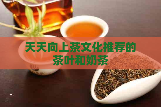 天天向上茶文化推荐的茶叶和奶茶