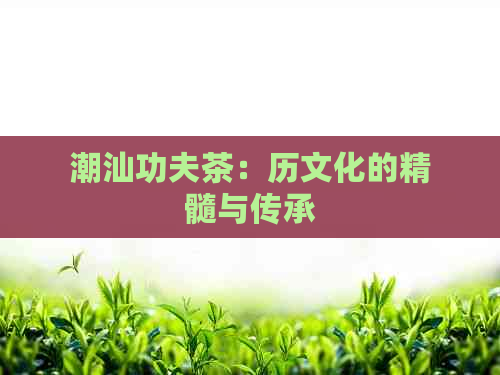 潮汕功夫茶：历文化的精髓与传承