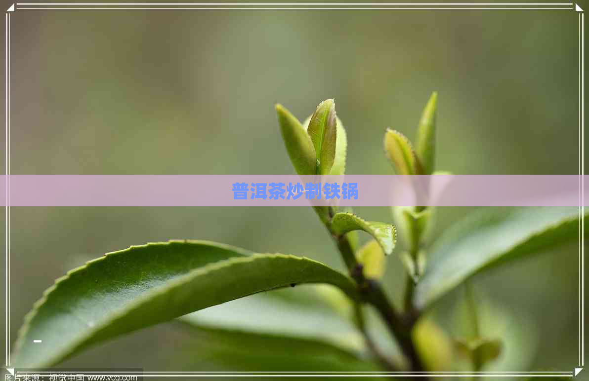 普洱茶炒制铁锅