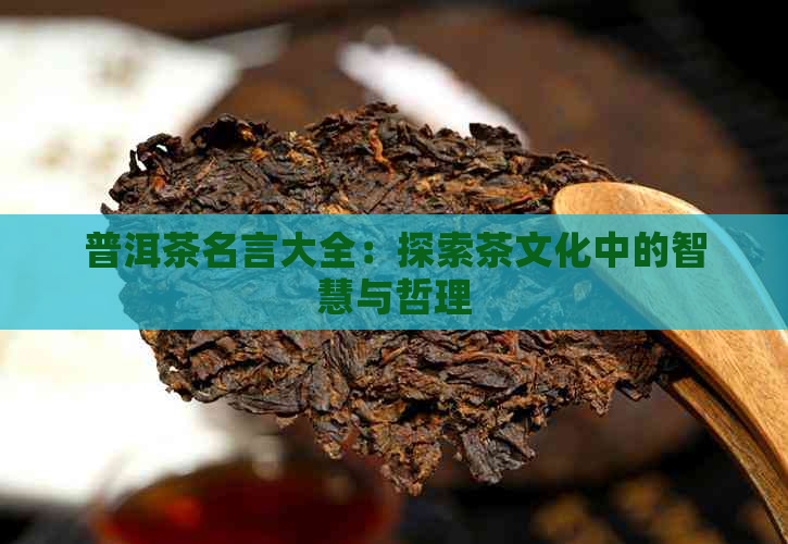 普洱茶名言大全：探索茶文化中的智慧与哲理