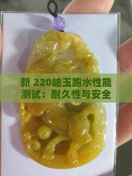 新 220岫玉跑水性能测试：耐久性与安全性解析