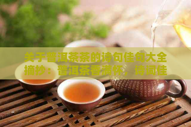 关于普洱茶茶的诗句佳句大全摘抄：普洱茶香满怀，诗词佳句咏流传。