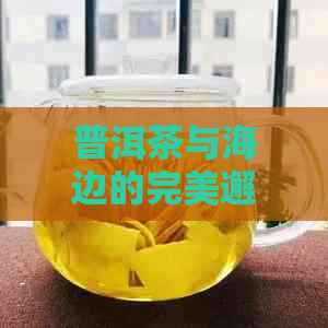 普洱茶与海边的完美邂逅：探索品茗胜地