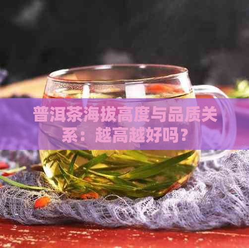 普洱茶海拔高度与品质关系：越高越好吗？