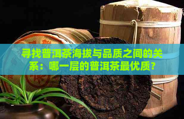 寻找普洱茶海拔与品质之间的关系：哪一层的普洱茶更优质？