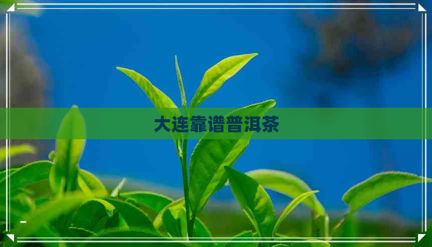 大连靠谱普洱茶