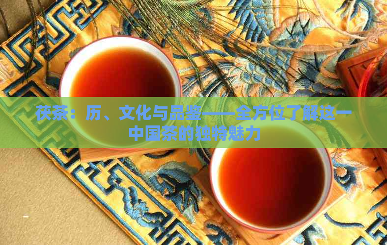 茯茶：历、文化与品鉴——全方位了解这一中国茶的独特魅力