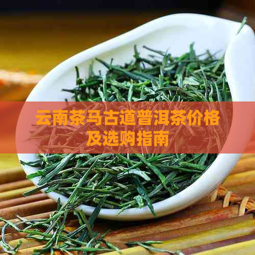 云南茶马古道普洱茶价格及选购指南