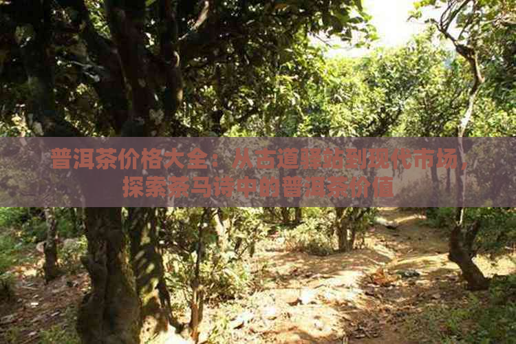 普洱茶价格大全：从古道驿站到现代市场，探索茶马诗中的普洱茶价值