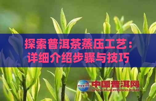 探索普洱茶蒸压工艺：详细介绍步骤与技巧