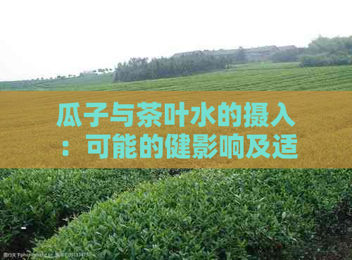 瓜子与茶叶水的摄入：可能的健影响及适宜摄入量探讨