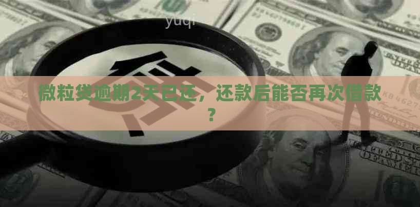 微粒贷逾期2天已还，还款后能否再次借款？