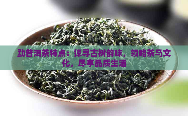 勐普洱茶特点：探寻古树韵味，领略茶马文化，尽享品质生活