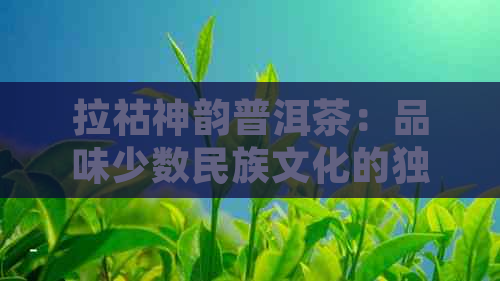 拉祜神韵普洱茶：品味少数民族文化的独特魅力与品茗之道