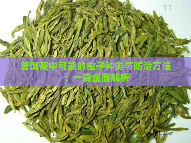 普洱茶中可能的虫子种类与防治方法：一篇全面解析