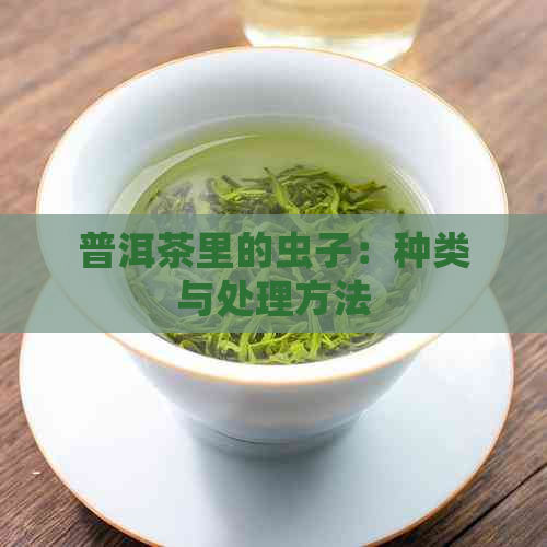 普洱茶里的虫子：种类与处理方法