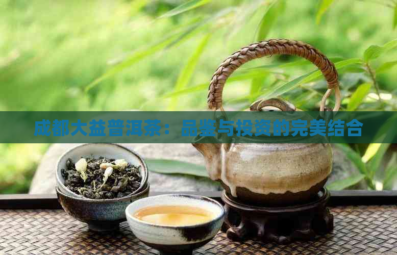 成都大益普洱茶：品鉴与投资的完美结合