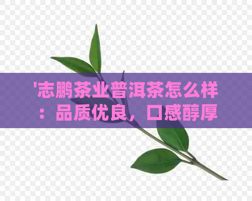 '志鹏茶业普洱茶怎么样：品质优良，口感醇厚，值得一试！'