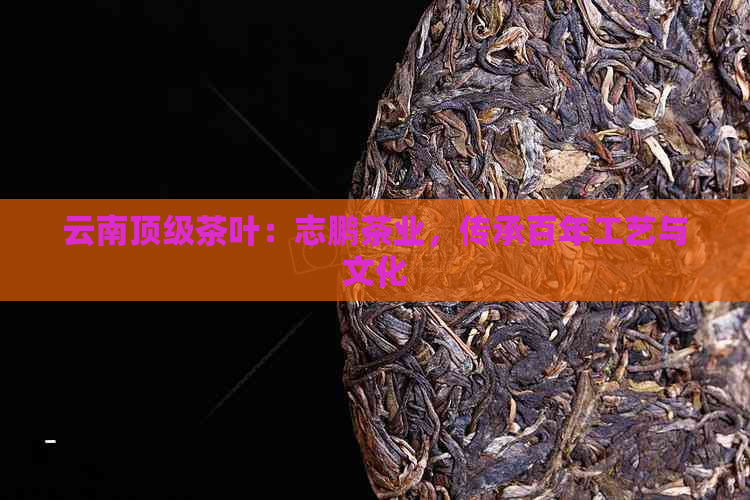 云南顶级茶叶：志鹏茶业，传承百年工艺与文化