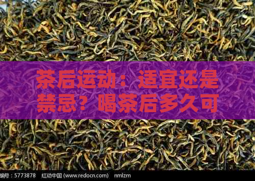 茶后运动：适宜还是禁忌？喝茶后多久可以进行运动？