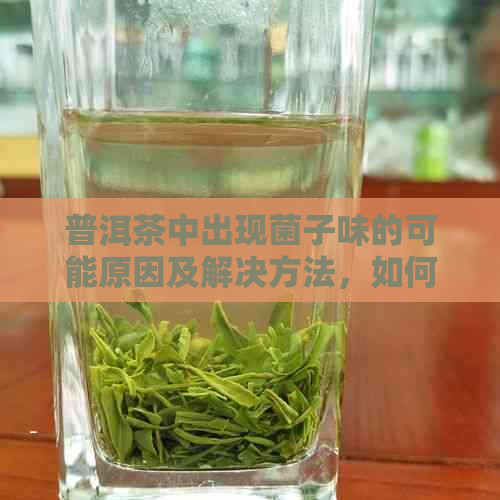 普洱茶中出现菌子味的可能原因及解决方法，如何辨别正常香气与异常味道？