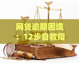 网贷逾期困境：12步自救指南，从此走出困境