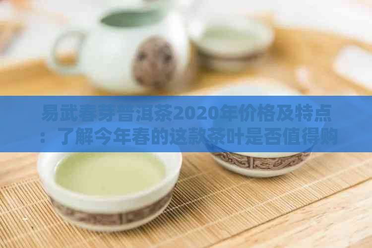 易武春芽普洱茶2020年价格及特点：了解今年春的这款茶叶是否值得购买。