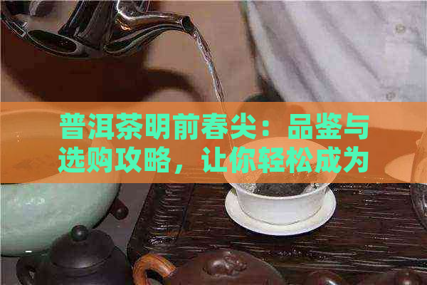 普洱茶明前春尖：品鉴与选购攻略，让你轻松成为茶叶专家