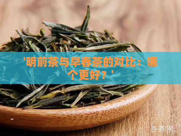 '明前茶与早春茶的对比：哪个更好？'