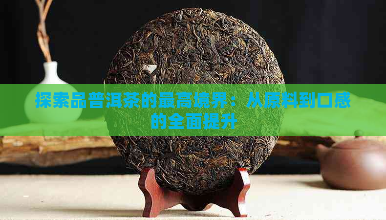 探索品普洱茶的更高境界：从原料到口感的全面提升