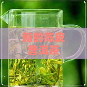 新的陈皮普洱茶