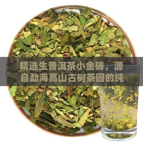 精选生普洱茶小金砖，源自勐海高山古树茶园的纯正之味