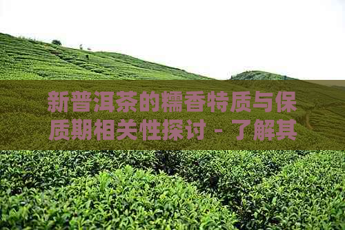 新普洱茶的糯香特质与保质期相关性探讨 - 了解其存期限的重要性