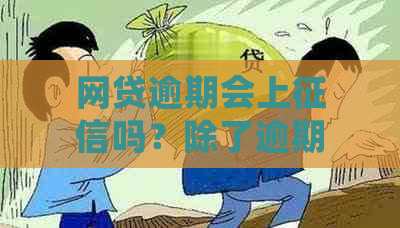 网贷逾期会上吗？除了逾期，还有哪些情况会导致网贷上？