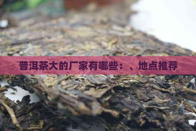 普洱茶大的厂家有哪些：、地点推荐