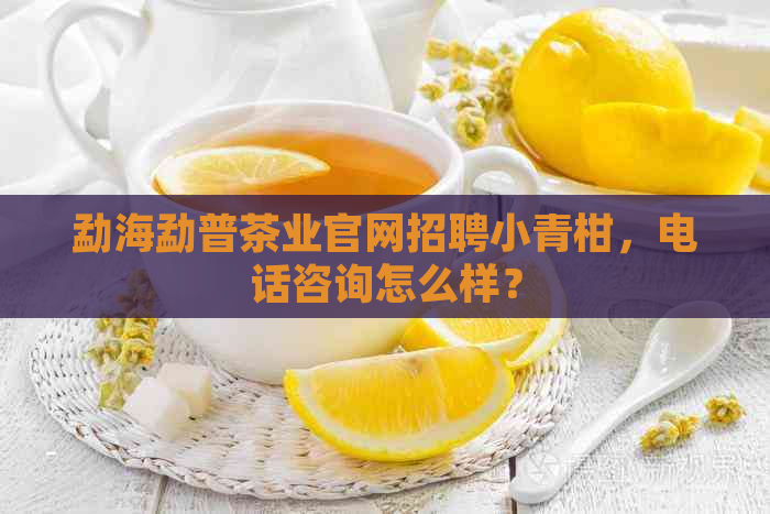 勐海勐普茶业官网招聘小青柑，电话咨询怎么样？