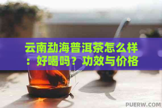 云南勐海普洱茶怎么样：好喝吗？功效与价格查询