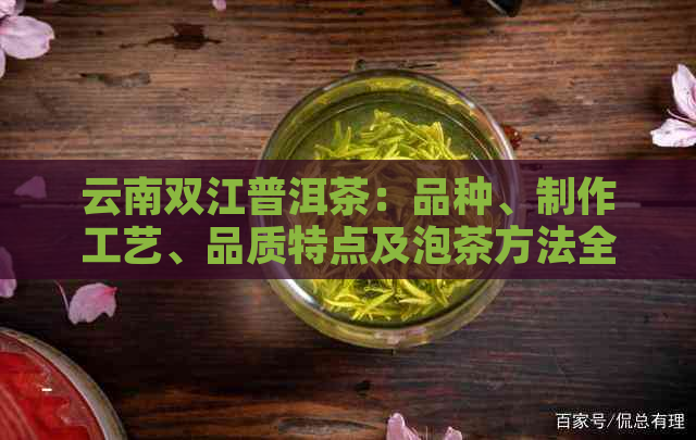 云南双江普洱茶：品种、制作工艺、品质特点及泡茶方法全面解析