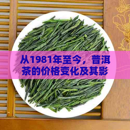 从1981年至今，普洱茶的价格变化及其影响因素分析