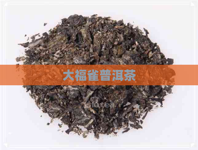 大福雀普洱茶