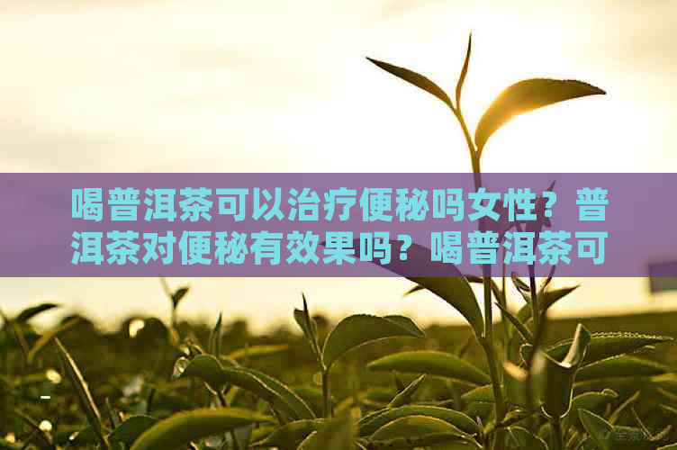 喝普洱茶可以治疗便秘吗女性？普洱茶对便秘有效果吗？喝普洱茶可以通便吗？