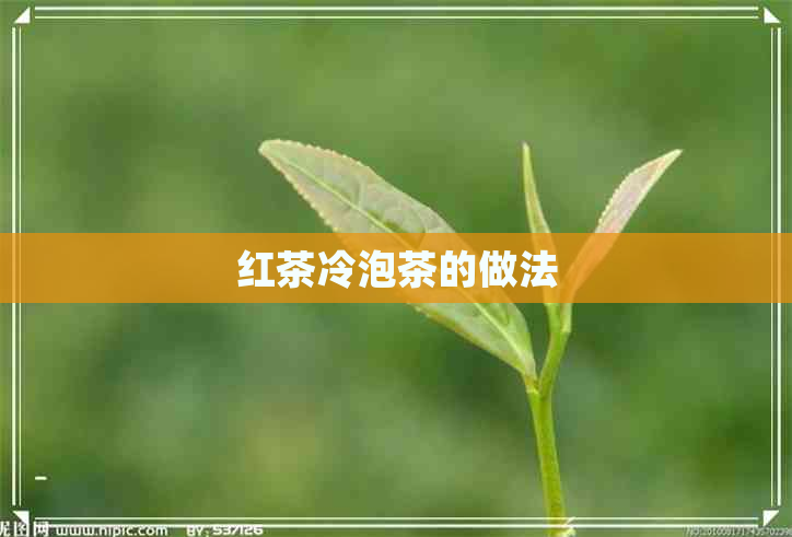 红茶冷泡茶的做法