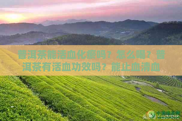 普洱茶能活血化瘀吗？怎么喝？普洱茶有活血功效吗？能止血清血管吗？