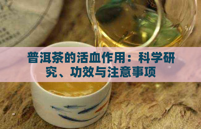 普洱茶的活血作用：科学研究、功效与注意事项