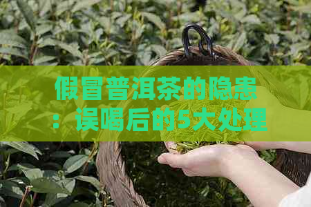 假冒普洱茶的隐患：误喝后的5大处理方法